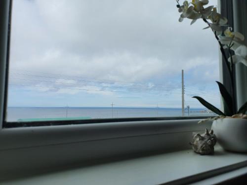 a window with a view of the ocean at Haumok52 Udo in Jeju