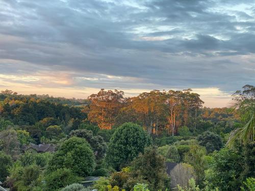 a view of a forest filled with trees and houses at Gracious on the Grove in Kerikeri