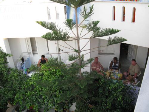a group of people sitting in a room with plants at Alexandra's Rooms in Parikia