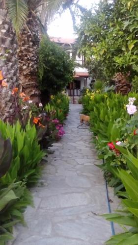 a walkway through a garden with flowers at Menelaos Apartments in Lefokastro