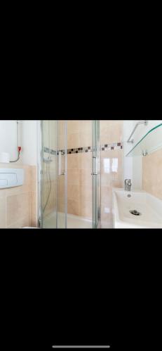 une salle de bain avec douche et lavabo dans l'établissement Appartement Vasil - proche de Paris, à Villemomble