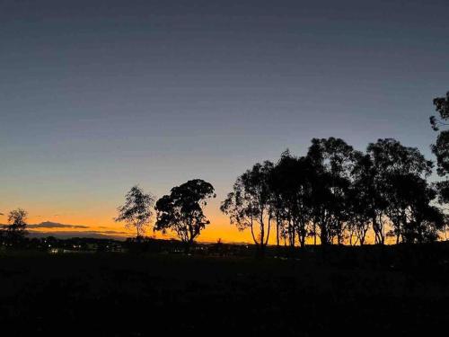 a group of trees in a field at sunset at Cosy Secure comfortable for two in Canberra in Hall