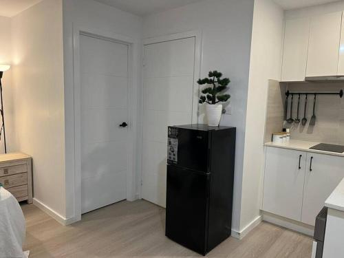 a kitchen with a plant on top of a refrigerator at Cosy Secure comfortable for two in Canberra in Hall