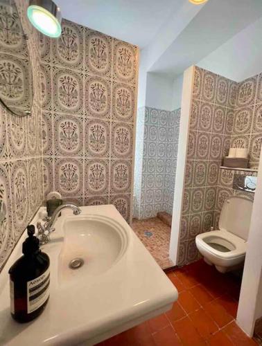 une salle de bain avec un lavabo et des toilettes dans l'établissement Grande Maison familiale Leucate Village, à Leucate