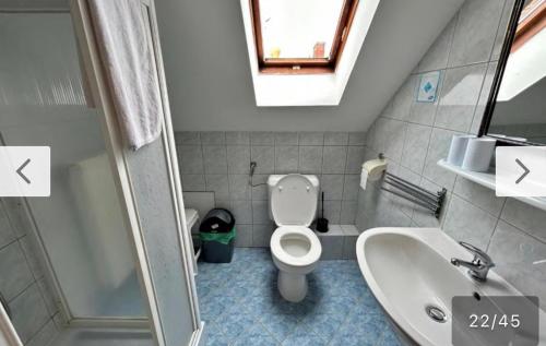 Baño pequeño con aseo y lavamanos en Főnix Wellness ** Apartman, en Hévíz