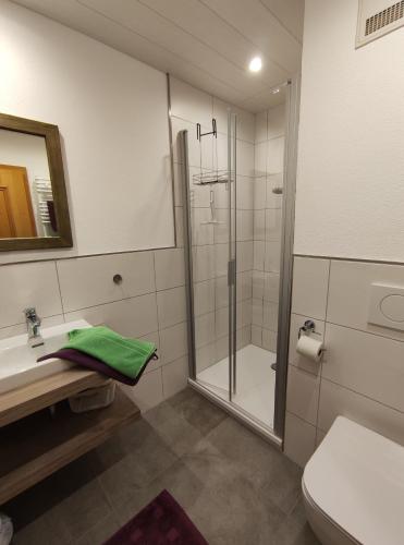 a bathroom with a shower and a sink and a toilet at Eckarthof in Schneizlreuth