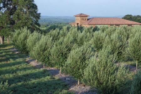Un jardín fuera de The Outlook - Spa and deck views of Hill Country