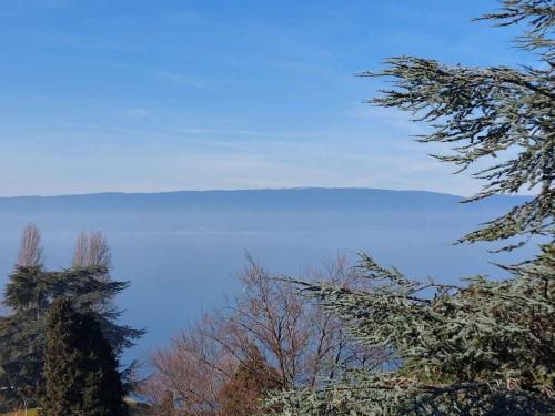Φυσικό τοπίο κοντά σε αυτό το διαμέρισμα