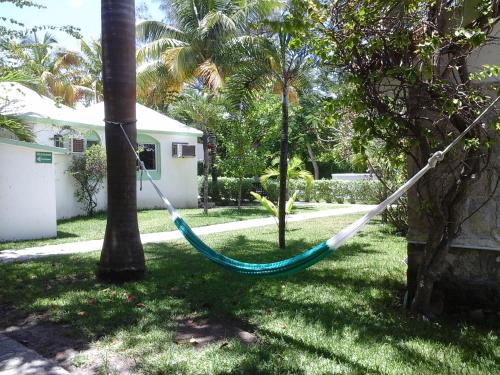 a hammock tied to a palm tree in a yard at Hotel Club Akumal Caribe in Akumal
