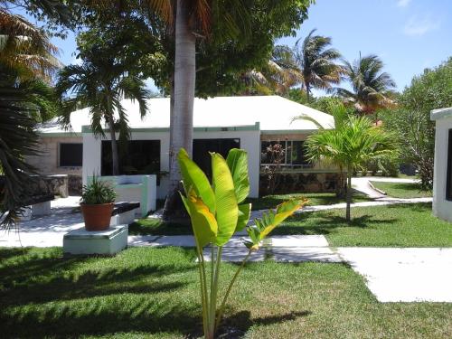a house with a palm tree in the yard at Hotel Club Akumal Caribe in Akumal