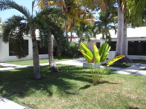 a yard with palm trees and a building at Hotel Club Akumal Caribe in Akumal