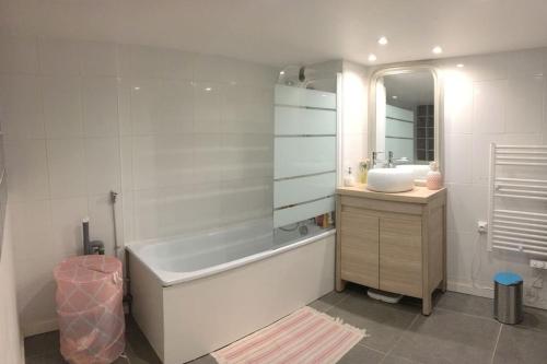 een badkamer met een bad, een wastafel en een spiegel bij Appartement XVIIIème centre historique in Bordeaux