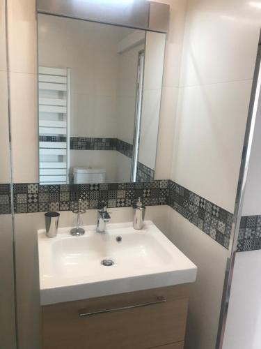 A bathroom at Grand studio rte des sanguinaires Superbe vue Mer