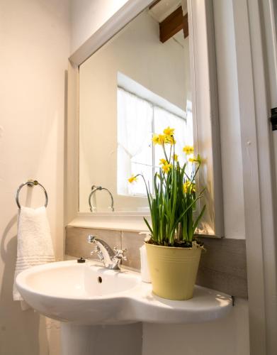 a bathroom with a sink and a mirror and yellow flowers at River Bend Guesthouses in Graaff-Reinet