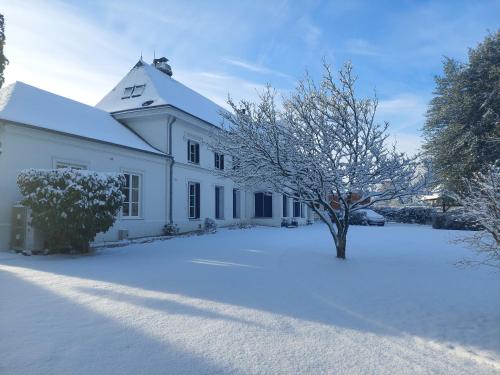 a white house with a tree in the snow at Manoir de l'As de Trèfle in Isneauville