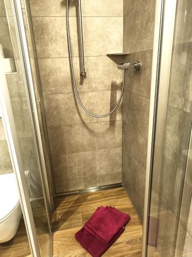 a shower stall with a purple towel on the floor at Niederauer Hof in Neubeuern