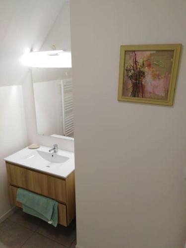 une salle de bain avec un lavabo et un miroir dans l'établissement Grande maison quercynoise avec piscine, à Figeac