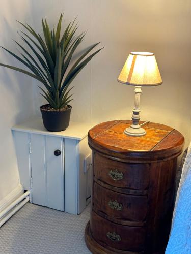 a lamp on a dresser next to a potted plant at Reynolds House in Faringdon