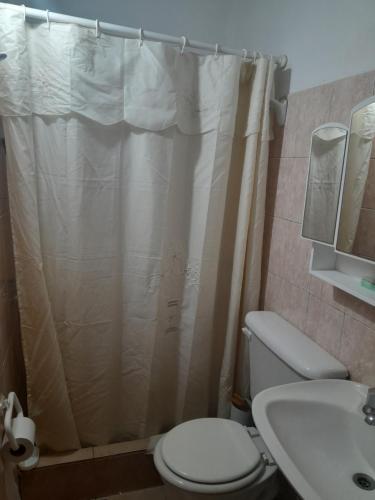 a bathroom with a shower curtain and a toilet at El rosal ,descanso para viajeros in Junín