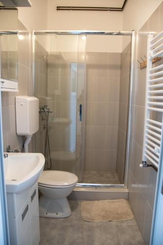 a bathroom with a shower and a toilet and a sink at Apartments Kuca Aleksic in Niš