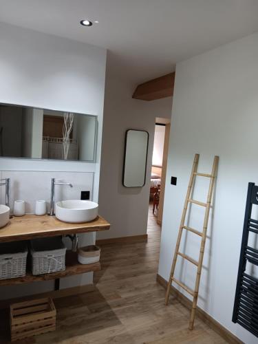 een badkamer met een wastafel en een ladder bij La chambre des daines in Binche