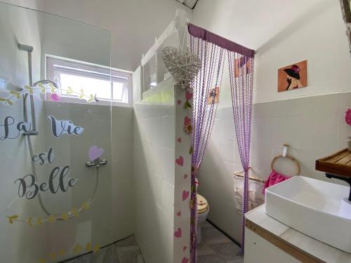 uma casa de banho com um chuveiro e um lavatório. em Chambre D'hote PLACE DES AMOUREUX em Trou-aux-Biches