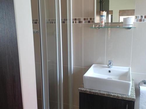 a bathroom with a sink and a shower at Carlo's Boutique Guesthouse in Walvis Bay