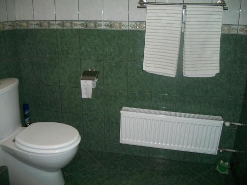 a bathroom with a toilet and a green tiled wall at Ezerkiemis in Trakai