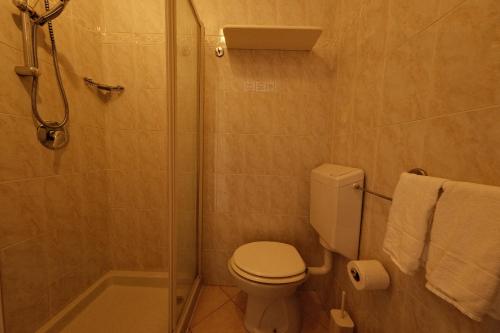 a bathroom with a shower with a toilet and a glass shower door at Locanda Milano 1873 in Brunate