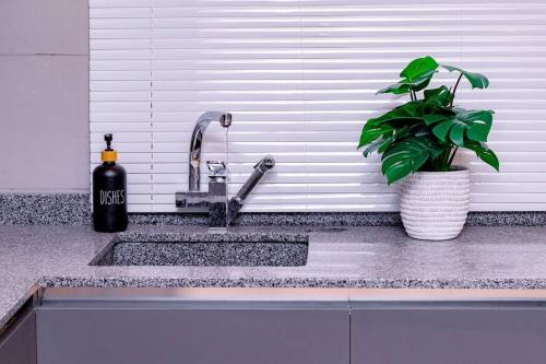 a sink with a bottle of wine next to a plant at Harmony Villa in Tema