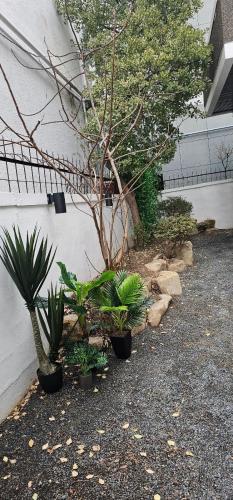 a garden with plants in pots next to a building at Soban Stay in Busan