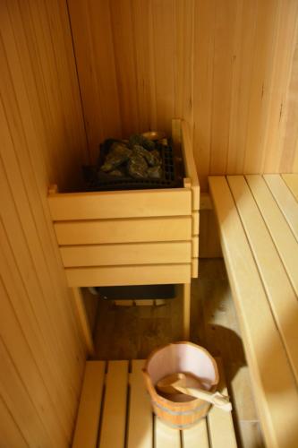 an inside of a sauna with a toilet in it at Apartmaji Kobal in Zoll