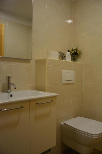 ein Bad mit einem WC und einem Waschbecken in der Unterkunft Apartmaji Kobal in Zoll