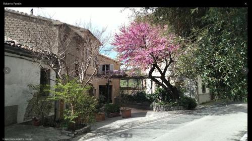 un árbol con flores rosas delante de un edificio en Albergo La Pietra, en Roccalbegna