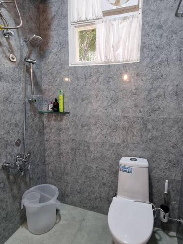 Un baño de Wonthaggi