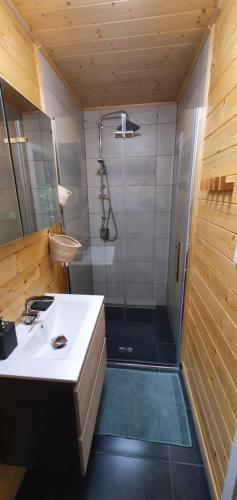 Koupelna v ubytování Geofond Chaty