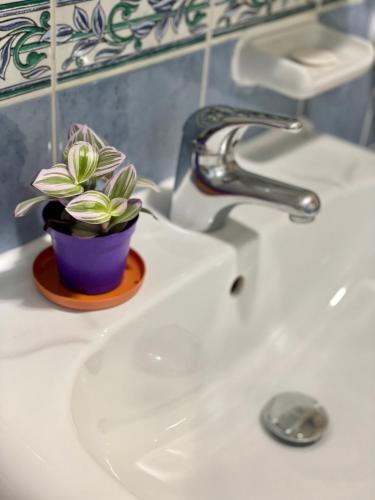 a bathroom sink with a potted plant on it at Stress-Free Cozy Private Room - heart of the city in Abu Dhabi