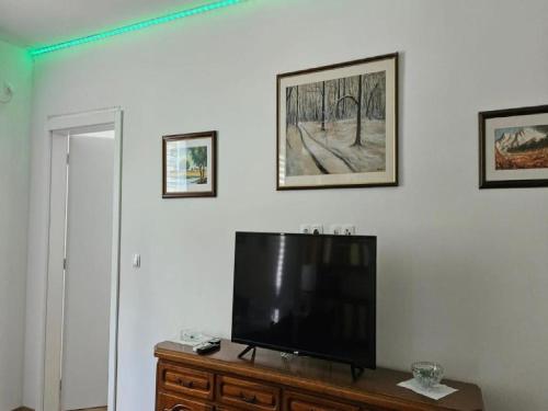 TV a/nebo společenská místnost v ubytování Apartman Gračac