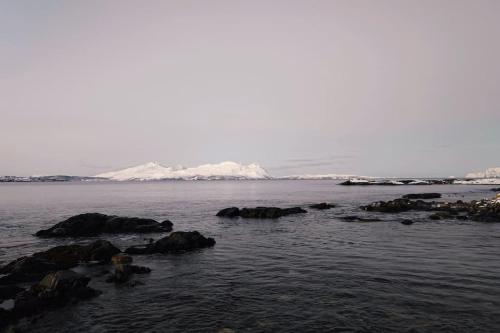 a large body of water with rocks and icebergs at Blabergan Lodge in Nord-Lenangen