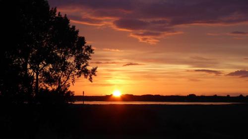 a sunset over a body of water with a tree at Gut-Rattelvitz-Parterre-C-hochwertig-Sauna-Kamin-eTankstelle-Spielscheune-15-000qm-Parkland in Gingst