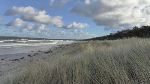a beach with tall grass and the ocean on a cloudy day at Gut-Rattelvitz-Parterre-C-hochwertig-Sauna-Kamin-eTankstelle-Spielscheune-15-000qm-Parkland in Gingst