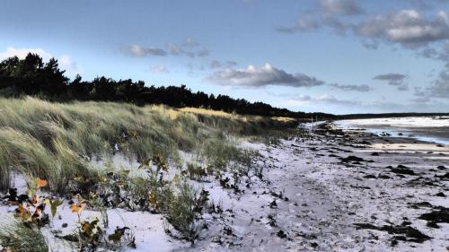 a beach with snow on the sand and grass at Gut-Rattelvitz-Parterre-C-hochwertig-Sauna-Kamin-eTankstelle-Spielscheune-15-000qm-Parkland in Gingst