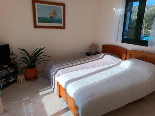 um quarto com duas camas e um vaso de plantas em Villa Margaux Karavados em Cefalônia