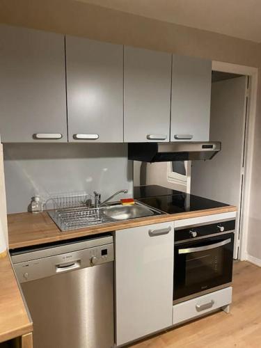 La cuisine est équipée de placards blancs et d'un évier en acier inoxydable. dans l'établissement Appartement Terrasse Garage chez Léo et Eliott, à Aurillac