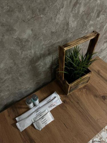 a wooden box with a potted plant on a wooden floor at DEMAL HOTEL in Petropavlovsk