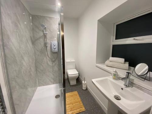 a bathroom with a shower and a sink and a toilet at Maritime House Two in Hull