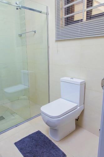 a bathroom with a toilet and a glass shower at Luna Loft in Tema