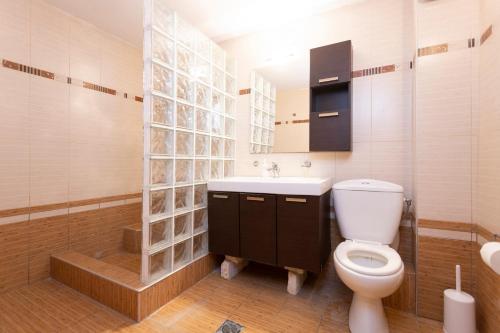 パリウリにあるStone Villaのバスルーム(トイレ、洗面台付)