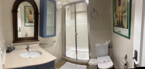 ein Bad mit einer Dusche, einem Waschbecken und einem WC in der Unterkunft Elegante alojamiento con piscina y terraza in Valencia