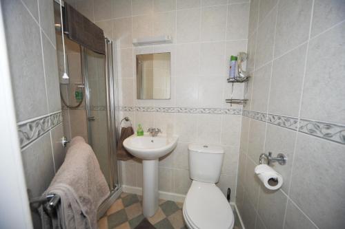 a bathroom with a toilet and a sink at Dwy Olwyn in Dolgellau